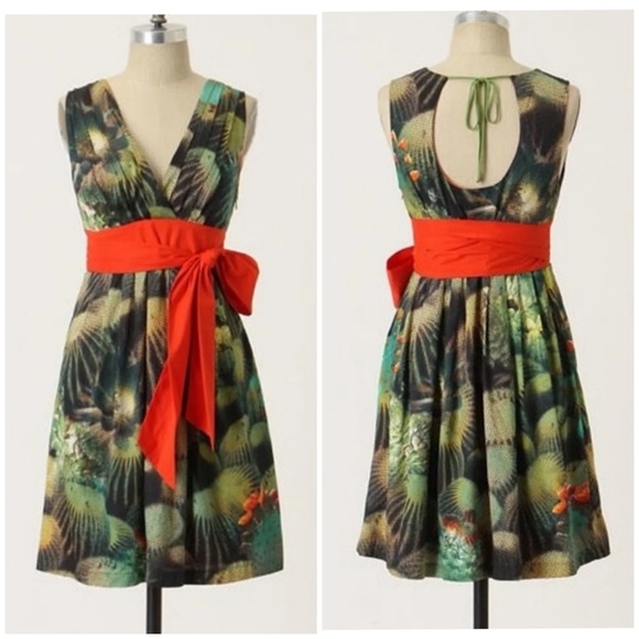 Anthropologie Eva Franco Oroya Cactus Dress Sz 2 - Picture 2 of 9